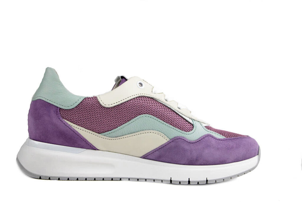 Gabor Gabor Sneaker Violet Creme Mint