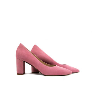 Peter Kaiser Peter Kaiser Pump Jaane Rose Suede