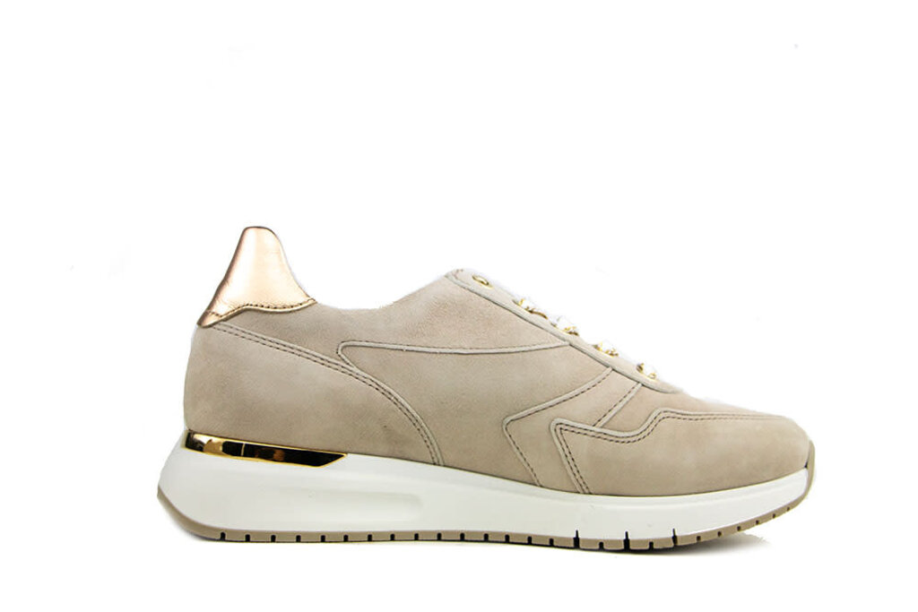 Gabor Gabor Sneaker Oak Champagne Suede