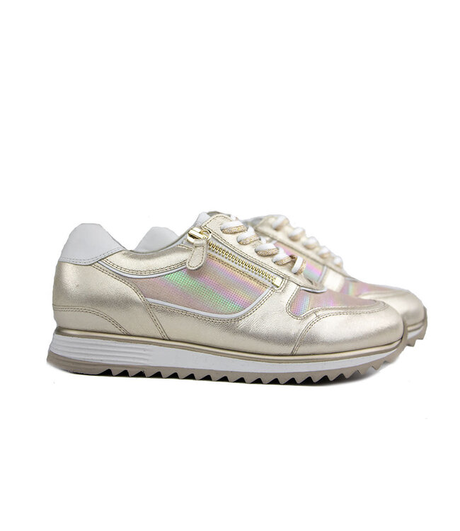 Hassia Hassia Sneaker Platin Gloss Porto