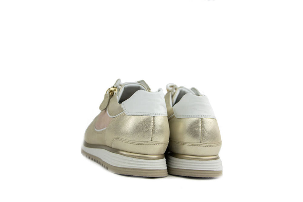 Hassia Hassia Sneaker Platin Gloss Porto