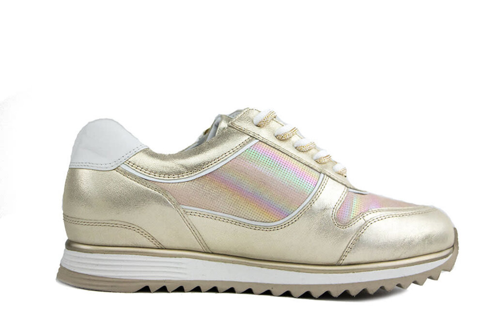 Hassia Hassia Sneaker Platin Gloss Porto
