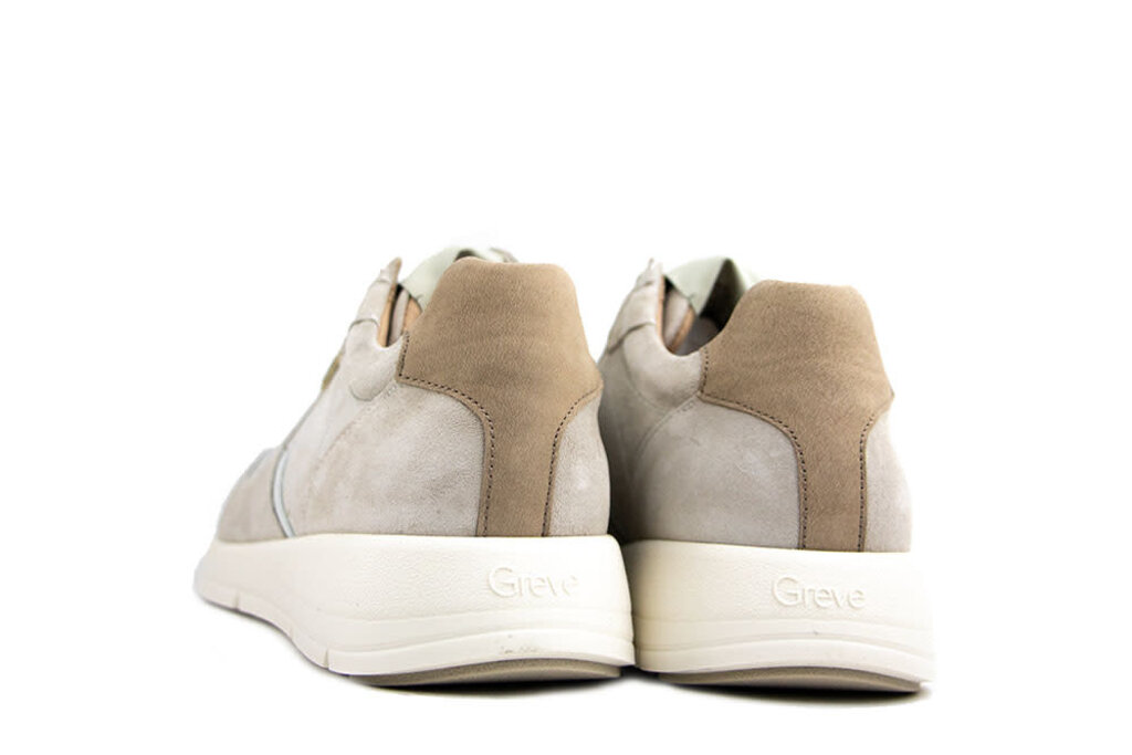 Greve Greve Sneaker Walker K Fantasma Suede