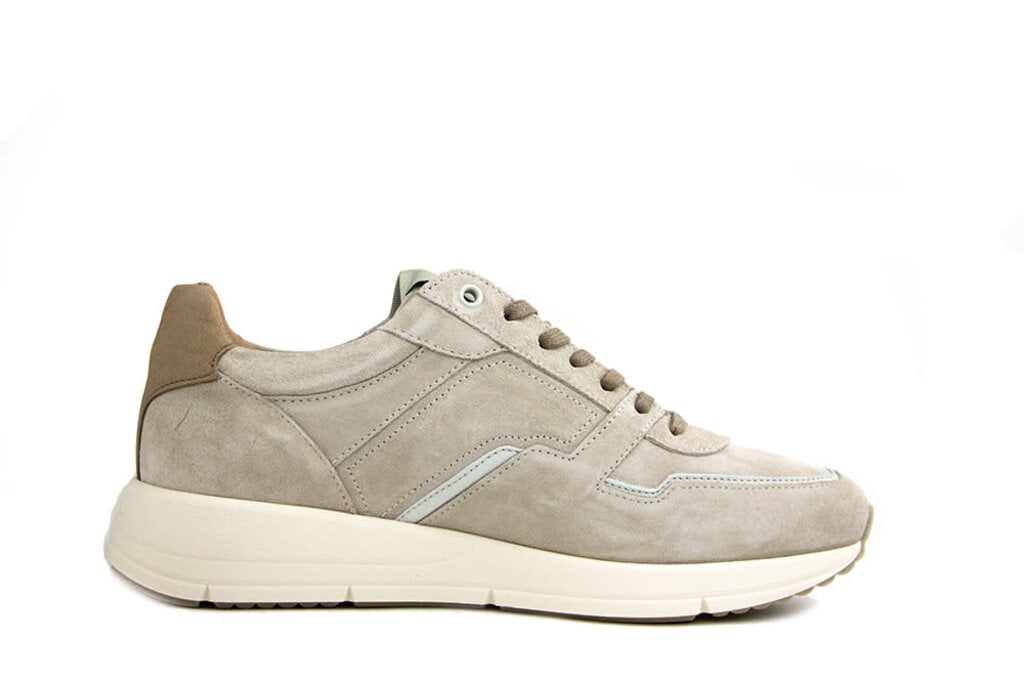 Greve Greve Sneaker Walker K Fantasma Suede