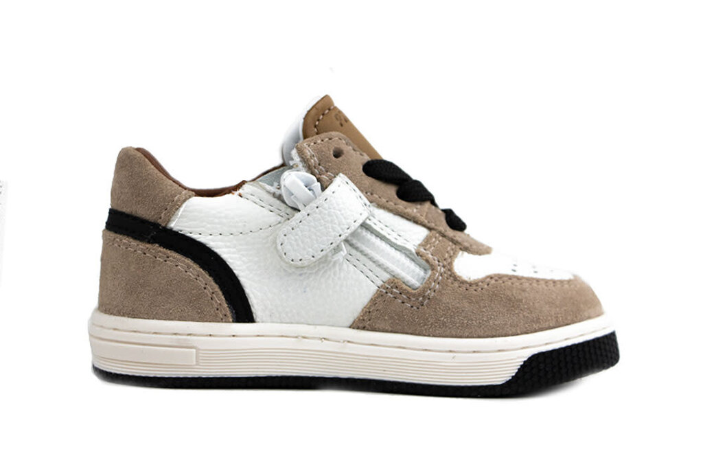 Pinocchio Pinocchio Sneaker Taupe Combi