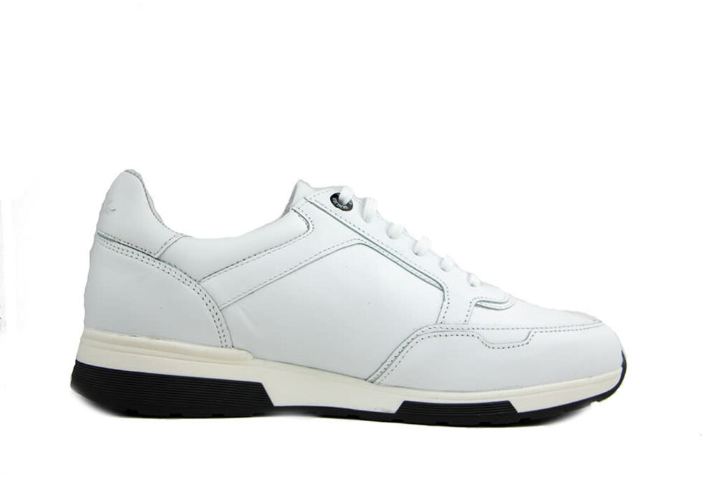 Van Lier Sneaker Positano Wit Leer I Worldwide shipment Low fees Steenbergen Schoenen