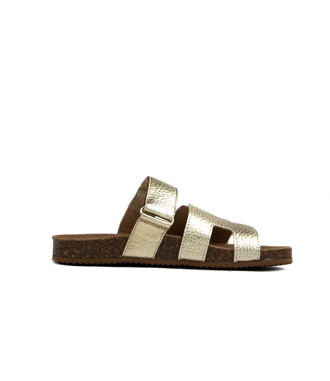 Clic Slipper Next Elephant Platino Sirocco