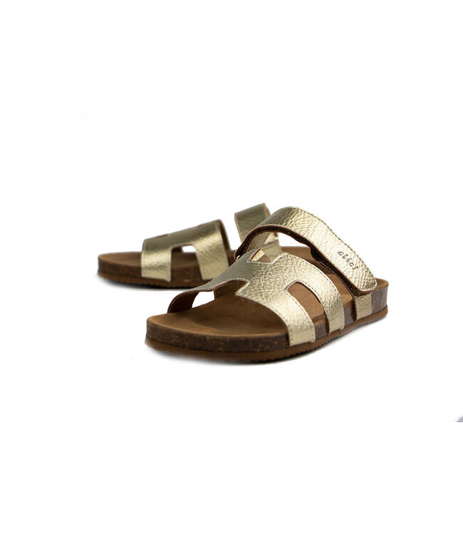 Clic Slipper Next Elephant Platino Sirocco