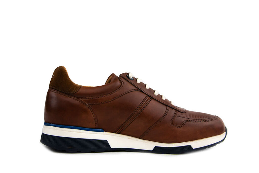 Van Lier Van Lier Sneaker Positano Licht Cognac