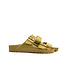 Birkenstock Arizona EVA Glamour Gold