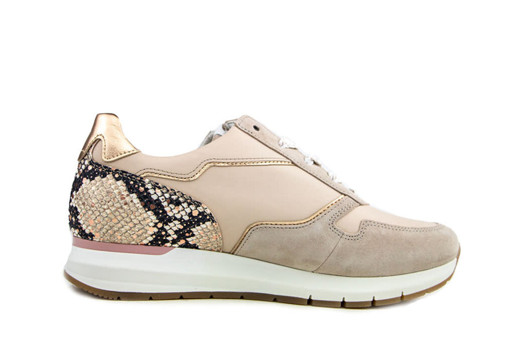 Gabor Gabor Sneaker Muschel Oasi Champagne