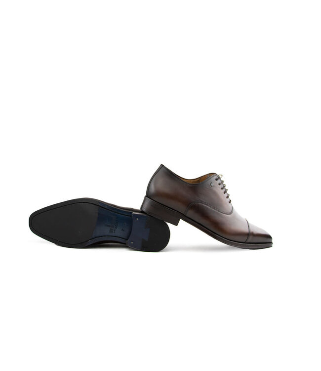 Van Bommel Raffa 02.09 D.Brown