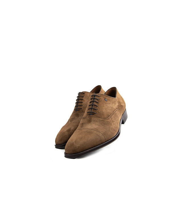 Van Bommel Raffa 02.10 Cognac