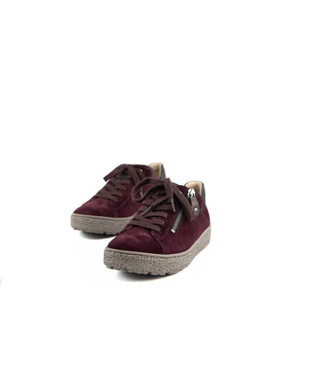 Hartjes Sneaker Phil Aubergine Velour