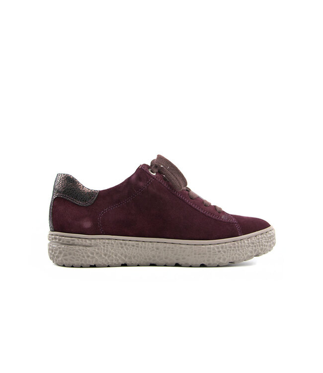 Hartjes Sneaker Phil Aubergine Velour
