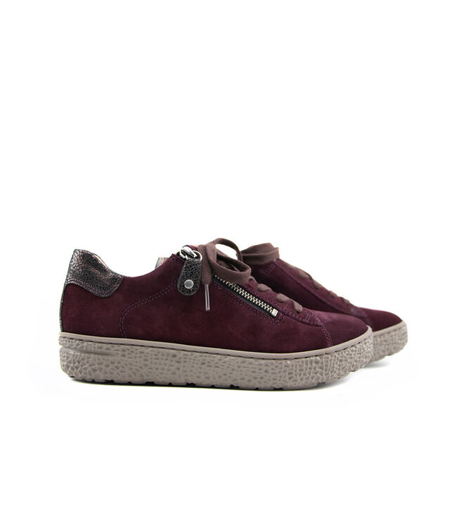 Hartjes Sneaker Phil Aubergine Velour