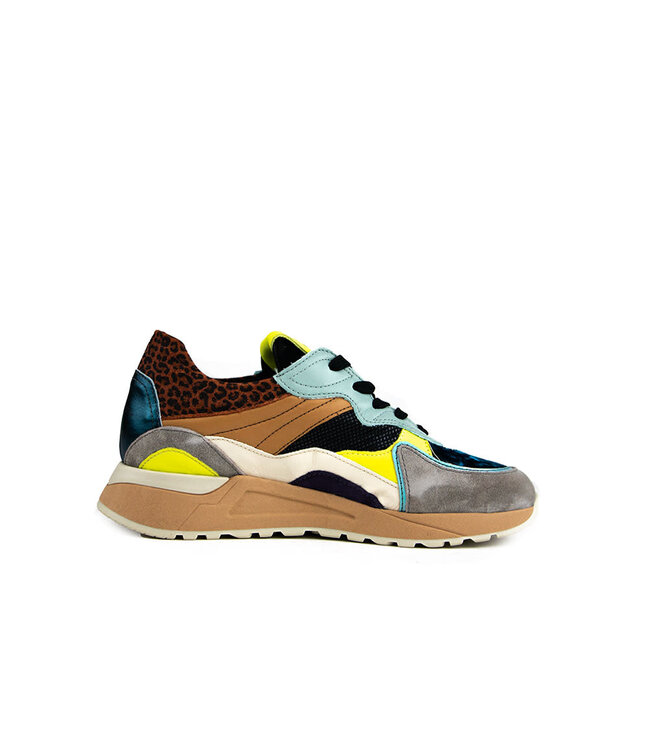 Piedi Nudi Sneaker Nova 11.21 Multi Funky