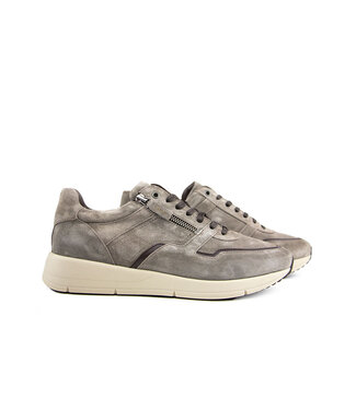 Greve Greve Sneaker Walker K Taiga Suede