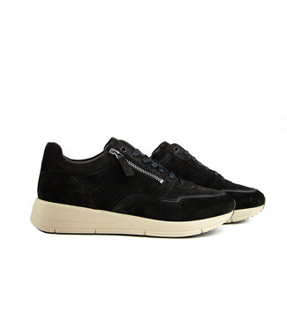 Greve Greve Sneaker Walker K Africa Suede