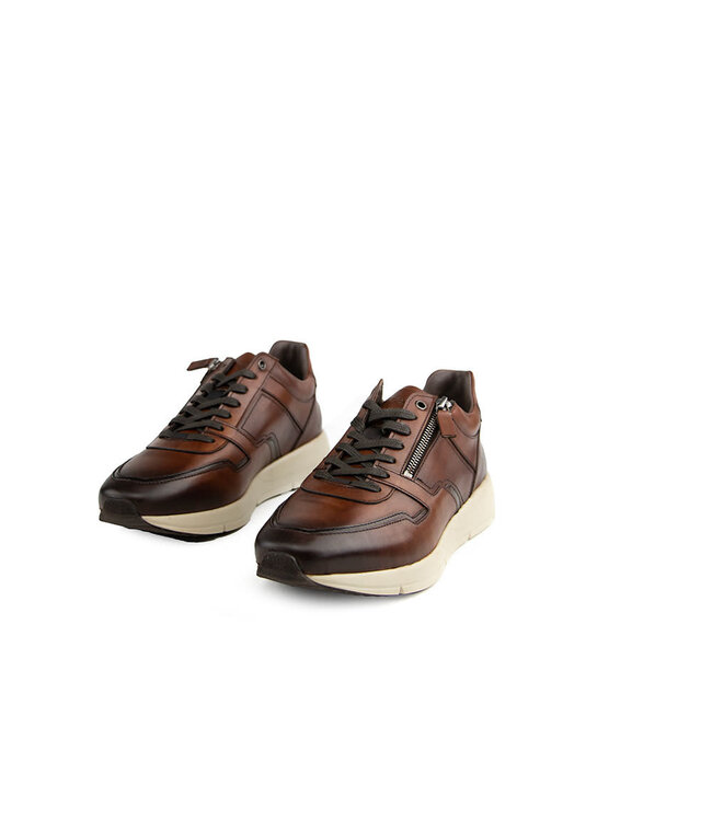 Greve Sneaker Walker K Mogano