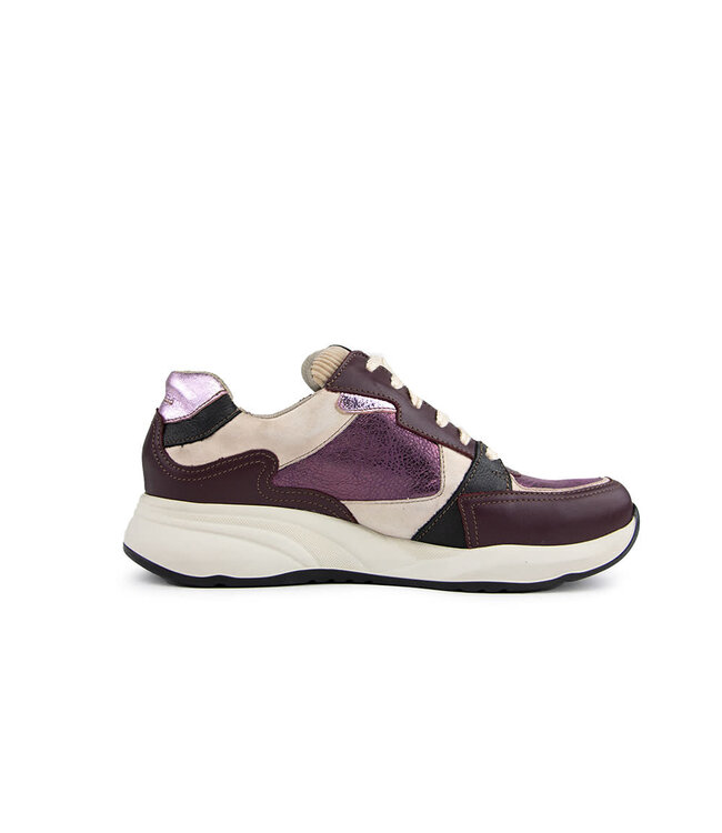 Durea Sneaker Bordo Light pink Seppia H