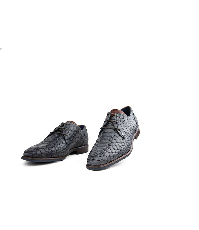 Berkelmans Veter Cartagena Reptile Black Grey