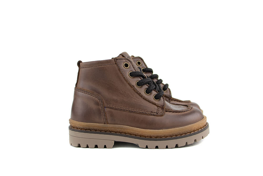 Pinocchio Lace up Shoes Brown Worldwide Shipping Steenbergen Schoenen