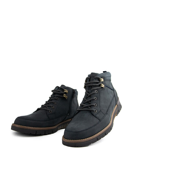 Waldlaufer Hoge Veter Markus Notte