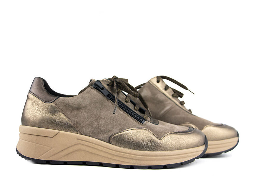 Dames Sneakers Online Kopen Gratis Verzending v.a. 40 Steenbergen Schoenen