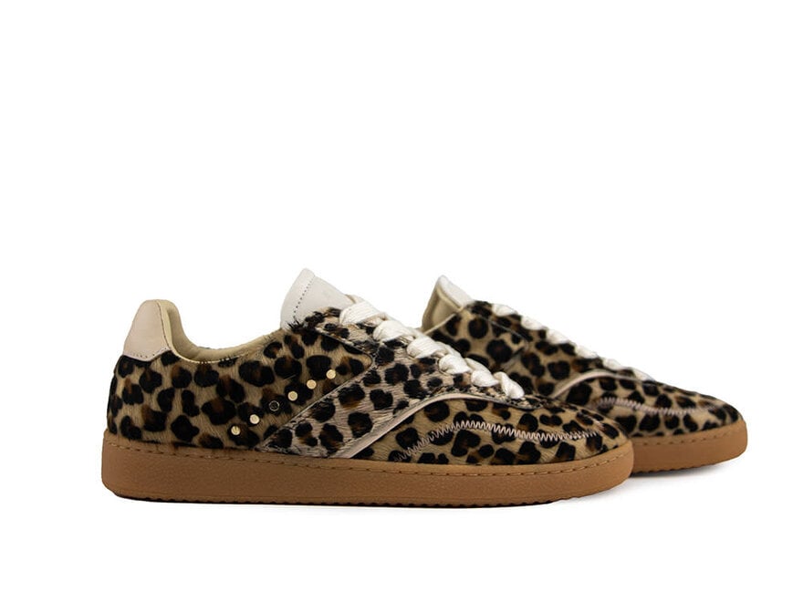Dames Sneakers Online Kopen Gratis Verzending v.a. 40 Steenbergen Schoenen