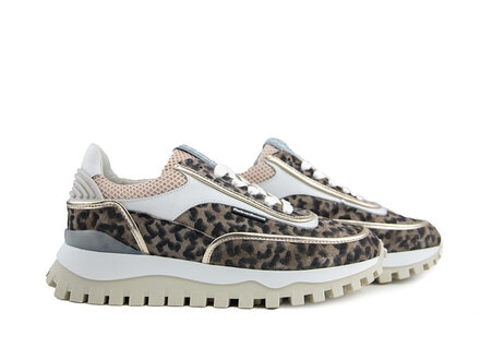 Floris van Bommel Floris van Bommel Grommi 02.05 Taupe Floris van Bommel Floris van Bommel Grommi 02.05 Taupe