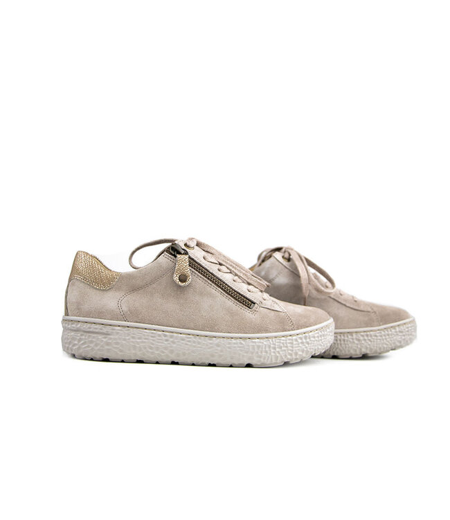 Hartjes Sneaker Phil Birke Gold