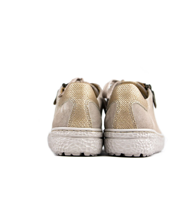 Hartjes Sneaker Phil Birke Gold