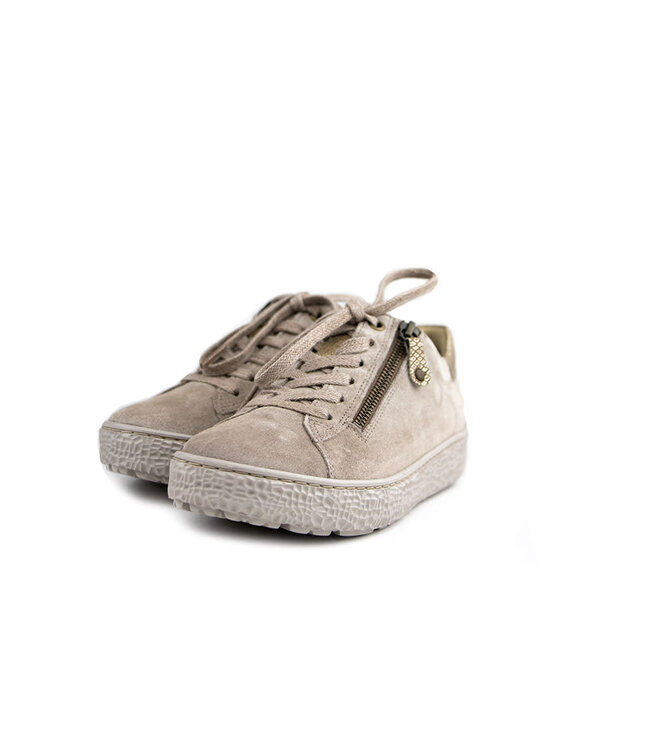 Hartjes Sneaker Phil Birke Gold