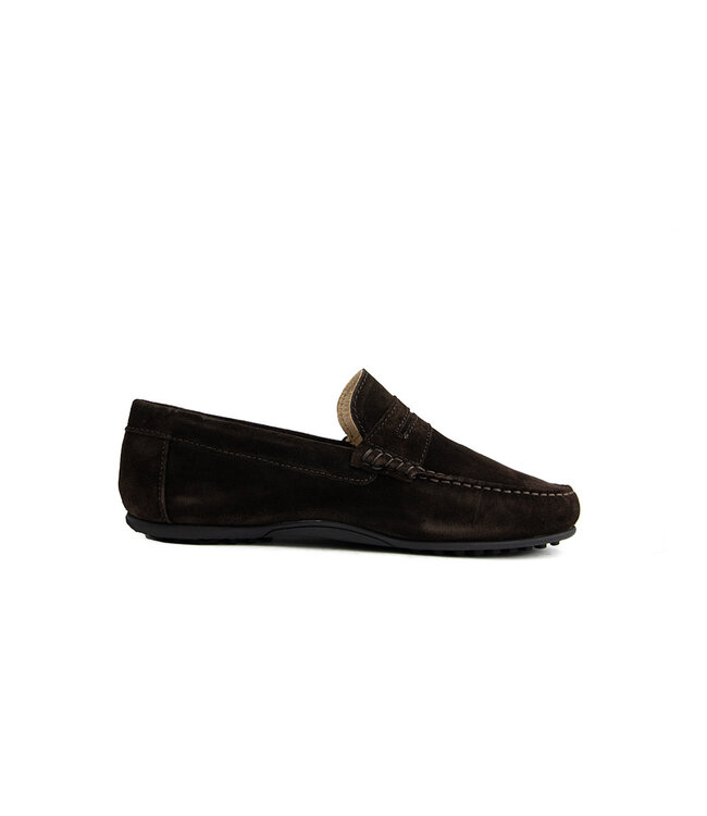 Van Bommel Elba 01.01 Dark Brown