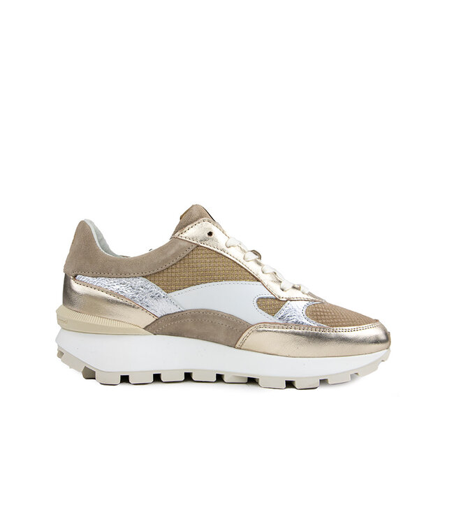 Floris van Bommel Blokki 04.10 Gold