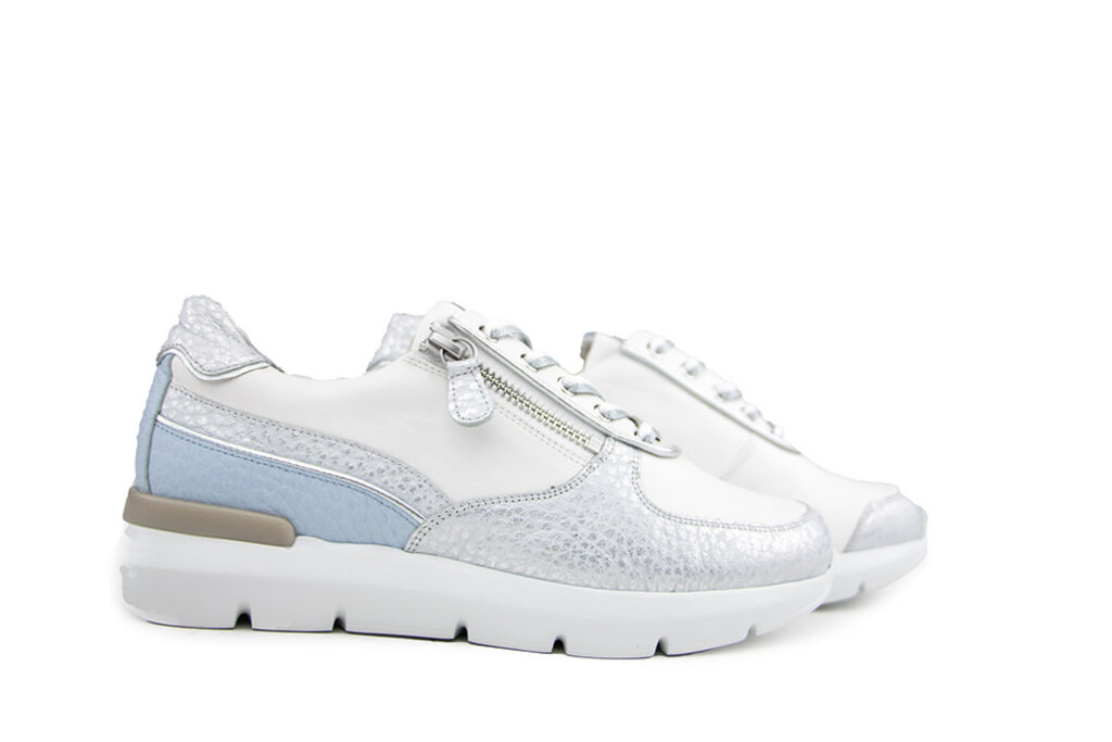 Hassia Hassia Sneaker Silver Sky Shinygrain Bordeaux