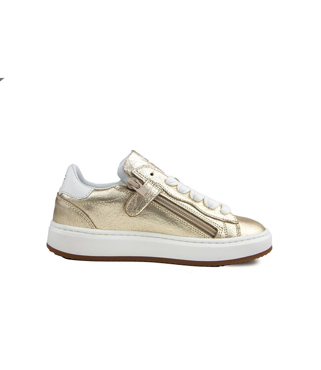 Hip Sneaker Platinum White Combi