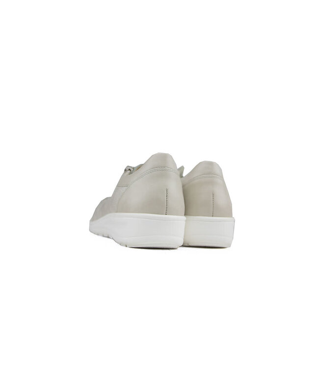 Solidus Veter Kate Pearl Ossid Porzellano K