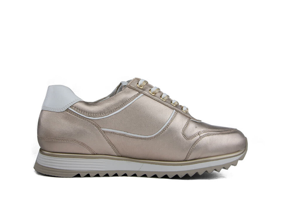 Hassia Hassia Sneaker Lightbronze Weiss Porto