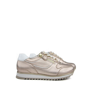 Hassia Hassia Sneaker Lightbronze Weiss Porto H