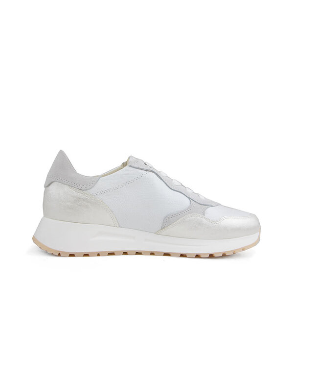 DL Sport Sneaker Dubai Bianco