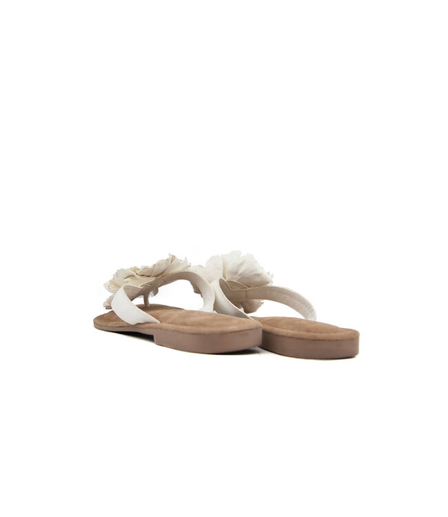 Lazamani Slipper Flower Offwhite