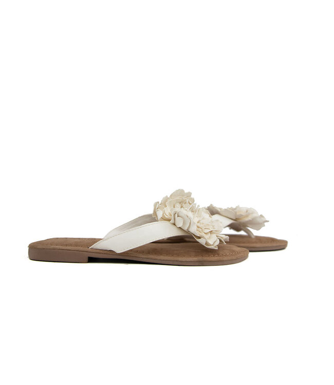 Lazamani Slipper Flower Offwhite