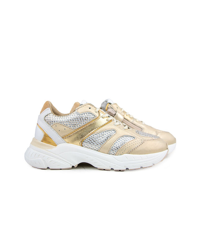 Hip Sneaker Platinum Combi