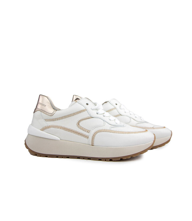 Gabor Sneaker Latte Puder Nappa