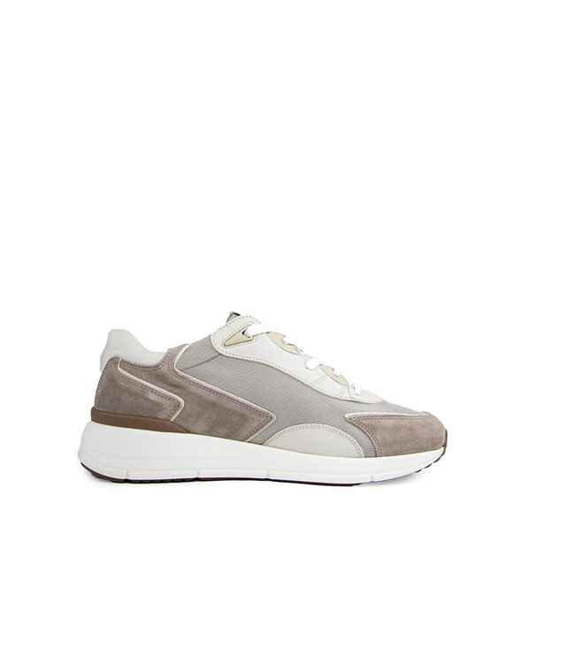 Greve Sneaker Walker K Roccia Suede