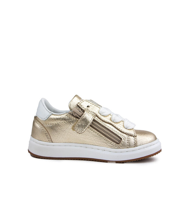 Pinocchio Sneaker Platinum Wit Combi