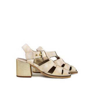 Pertini Pertini Pump Lienzo Avorio