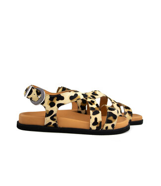 IQÔNIC IQONIC Sandaal Nancy 3 Leopard